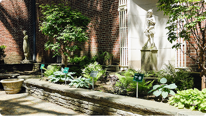 garden with AR Targets